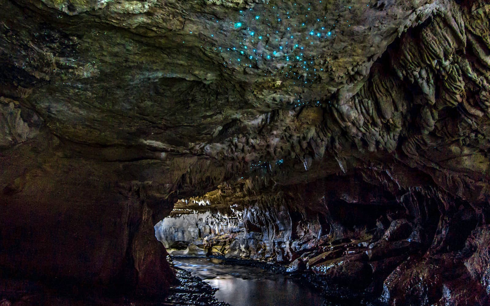 Offbeat Waitomo Glowworm Cave Small Group Guided Tour tickets in Waitomo - Activities | TickYourList