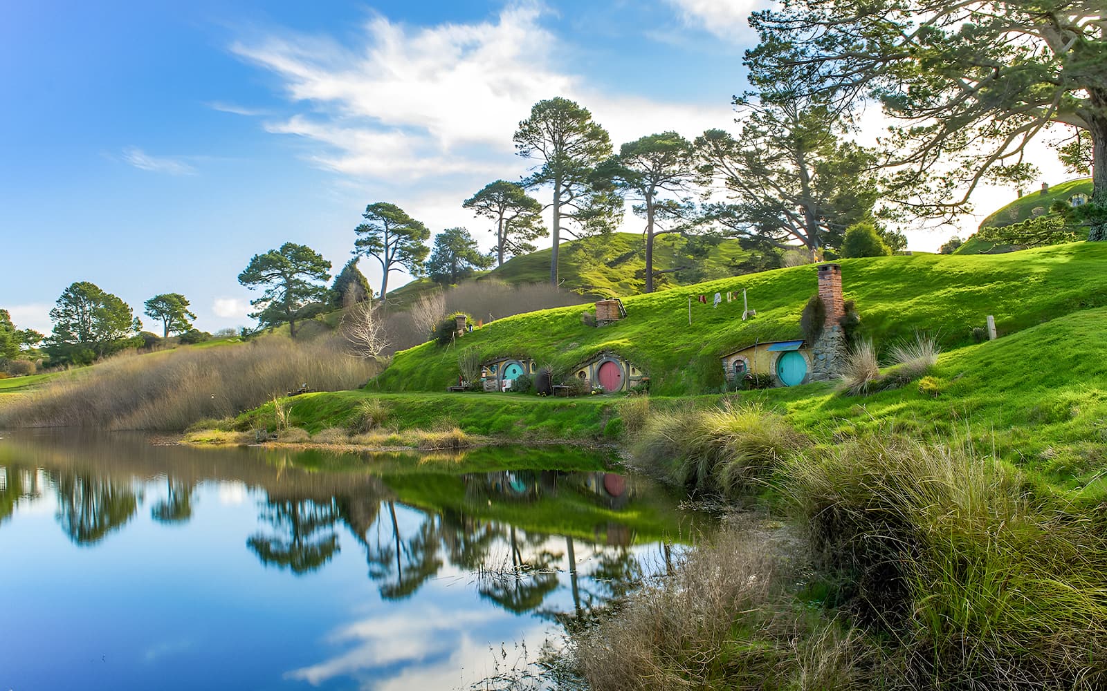 From Auckland: Hobbiton Movie Set and Waitomo Caves Guided Tour with Lunch