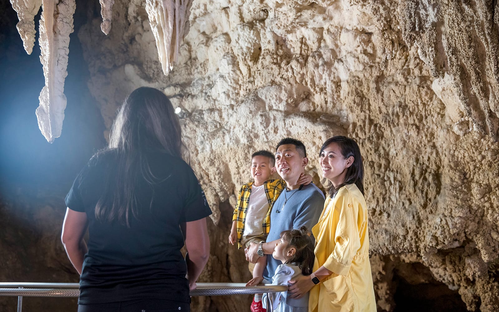 From Auckland: Hobbiton Movie Set, Waitomo Caves, & Te Puia Guided Tour tickets in Auckland - Activities | TickYourList