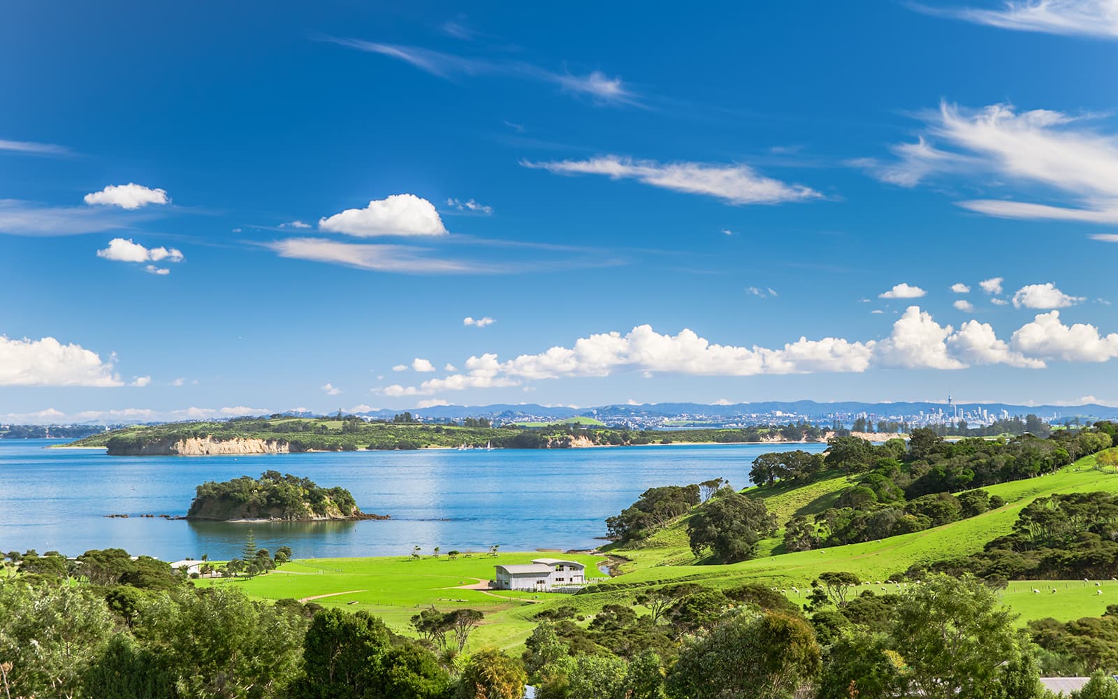 Western Explorer: Waiheke Island Hop-on Hop-off Bus Tour with Optional Ferry Transfers tickets in Auckland - Features | TickYourList