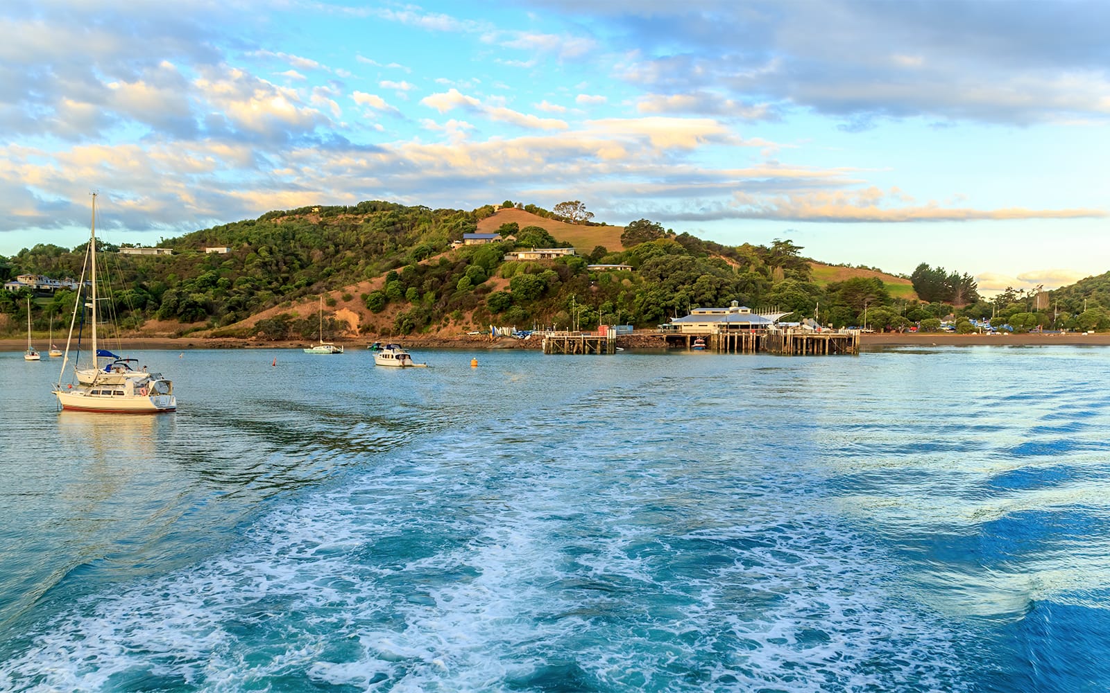 From Auckland: Waiheke Island Return Ferry Tickets in Auckland - Activities | TickYourList