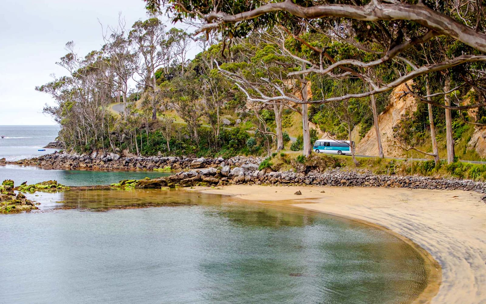 Stewart Island Village & Bays Tour tickets in Dunedin - Attractions | TickYourList