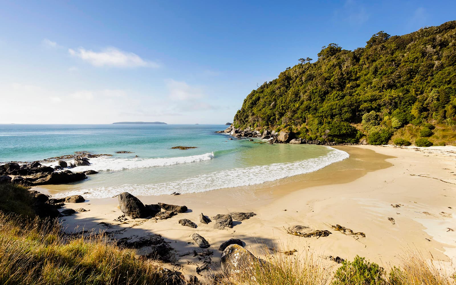 Stewart Island Village & Bays Tour tickets in Dunedin - Features | TickYourList