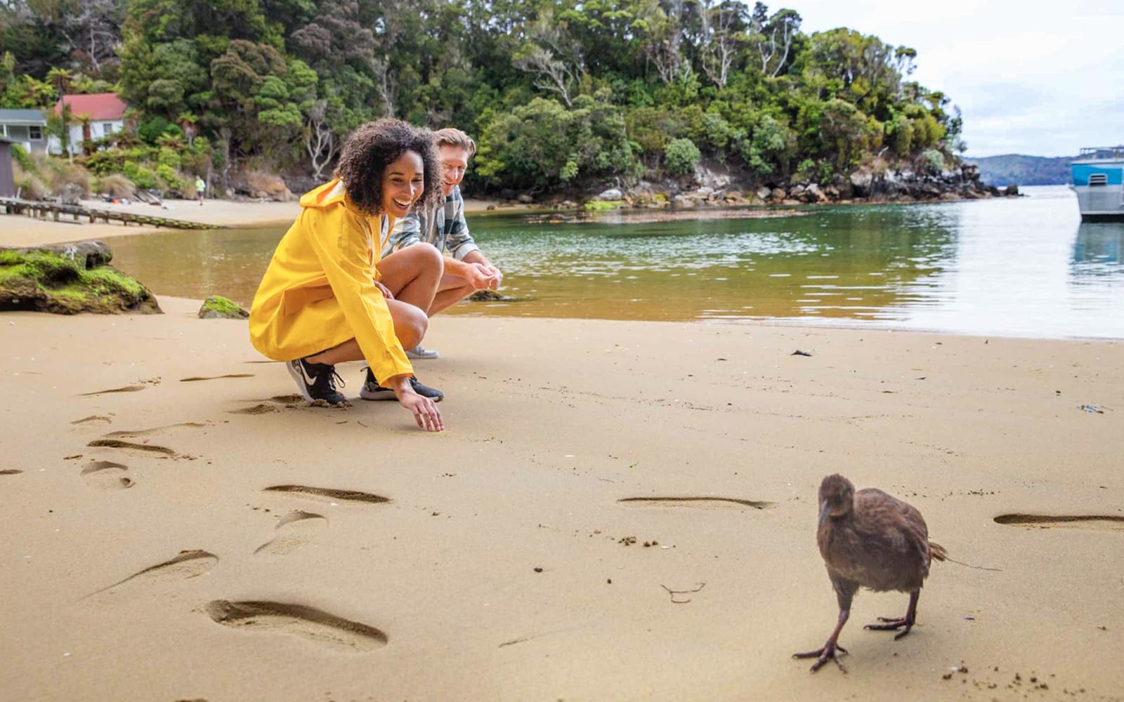 From Stewart Island: Ulva Island Explorer Tour with Paterson Inlet Cruise tickets in Dunedin - Activities | TickYourList