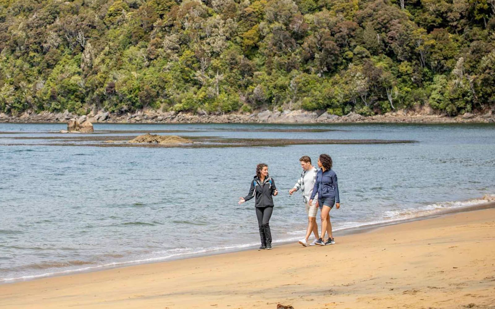 From Stewart Island: Ulva Island Explorer Tour with Paterson Inlet Cruise tickets in Dunedin - Highlights | TickYourList