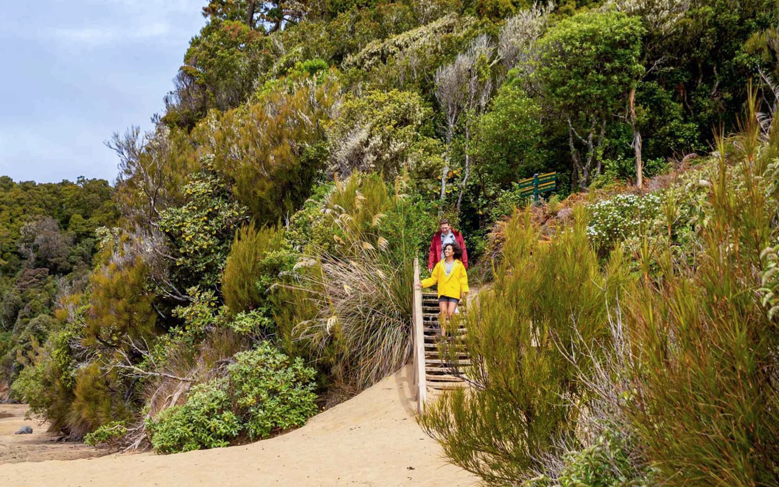 From Stewart Island: Ulva Island Explorer Tour with Paterson Inlet Cruise tickets in Dunedin - Features | TickYourList