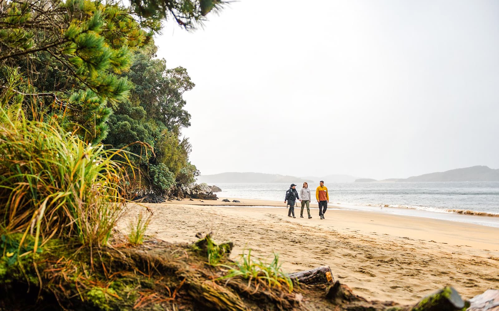 Stewart Island Guided Wilderness Walk tickets in Dunedin - Attractions | TickYourList