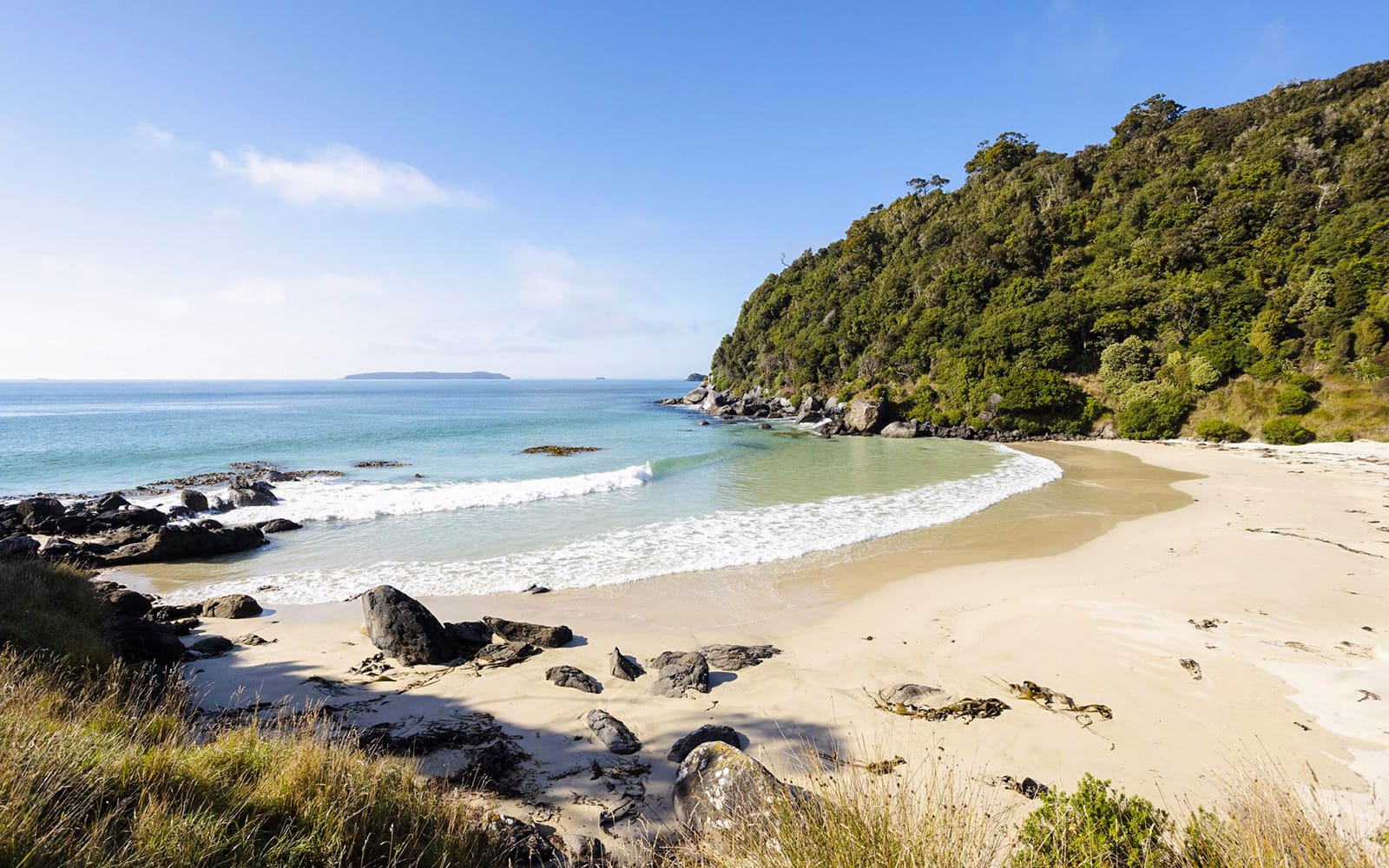 Stewart Island Guided Wilderness Walk tickets in Dunedin - Activities | TickYourList