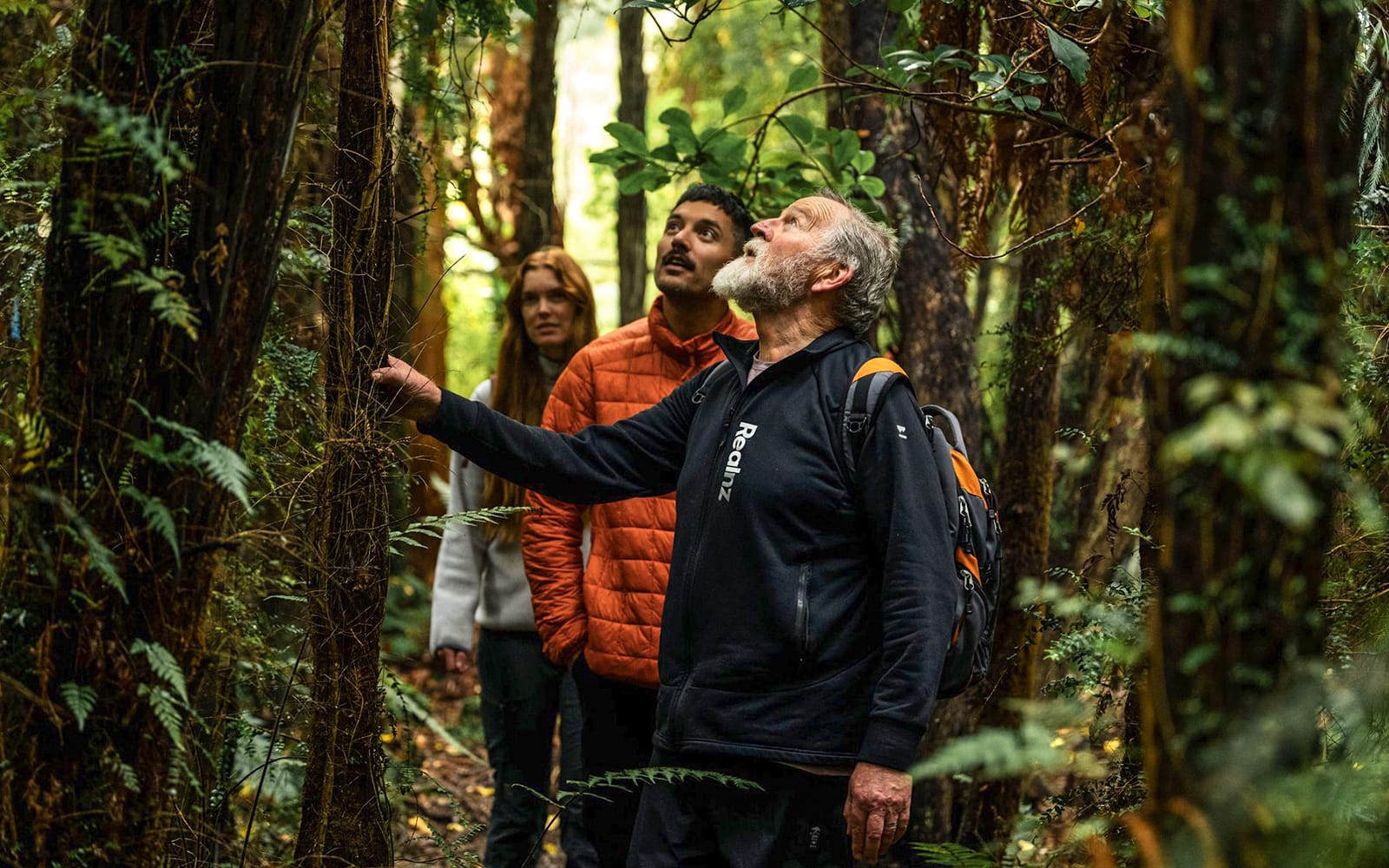 Stewart Island Guided Wilderness Walk tickets in Dunedin - Highlights | TickYourList