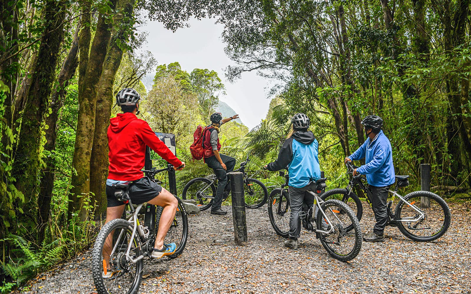 Guided E-Bike & Hiking Tour of Fox Glacier Valley tickets in Franz Josef - Attractions | TickYourList