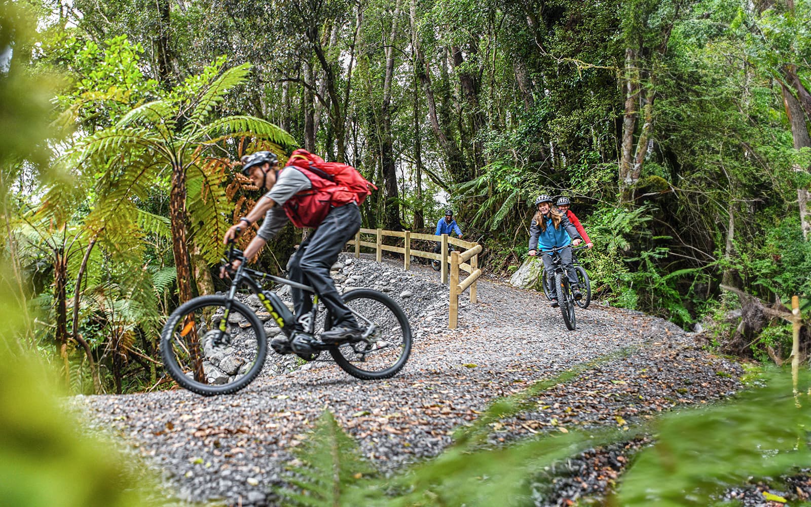 Guided E-Bike & Hiking Tour of Fox Glacier Valley tickets in Franz Josef - Activities | TickYourList