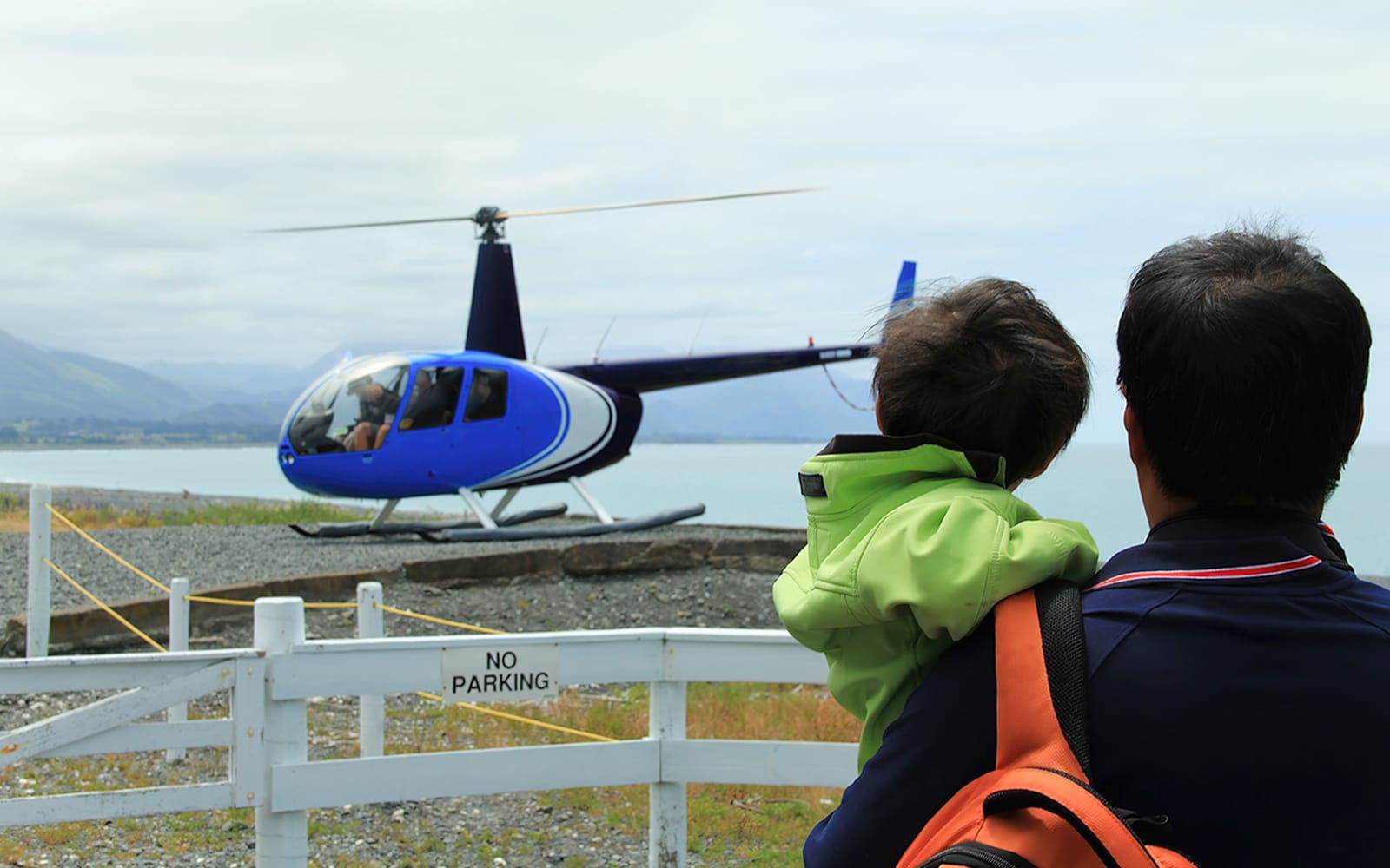 Kaikoura Classic Whale-Watching Helicopter Tour tickets in Kaikoura - Explore More | TickYourList