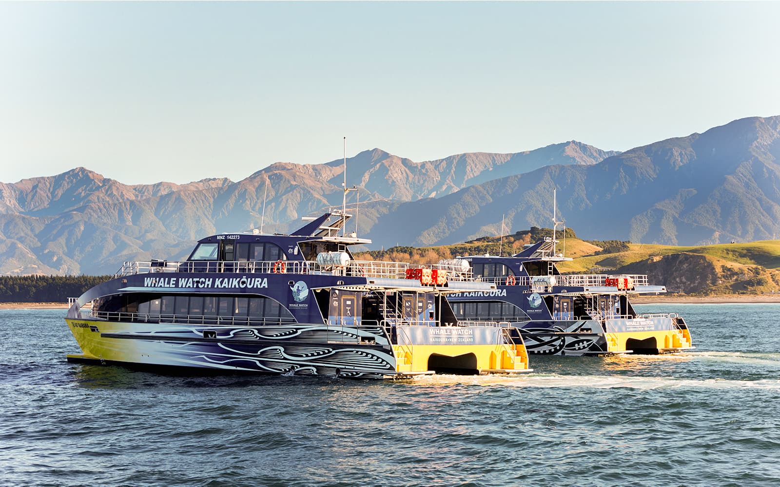 Kaikoura Whale Watching Cruise