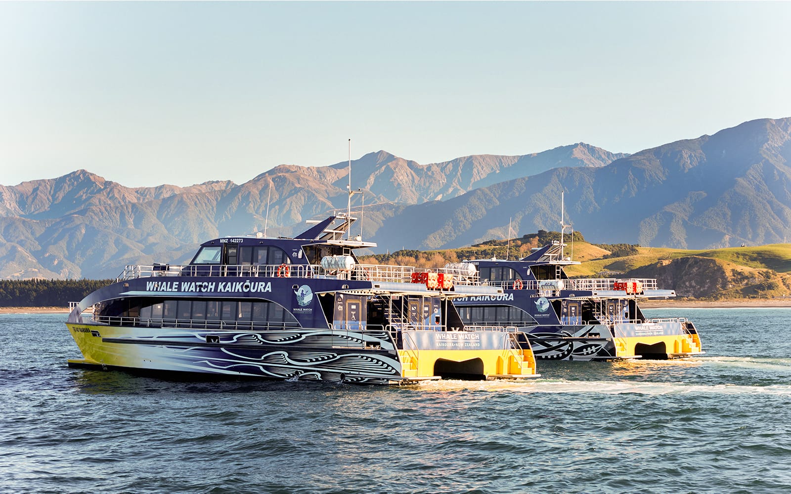 Kaikoura Whale Watching Cruise experience tickets in Kaikoura | TickYourList