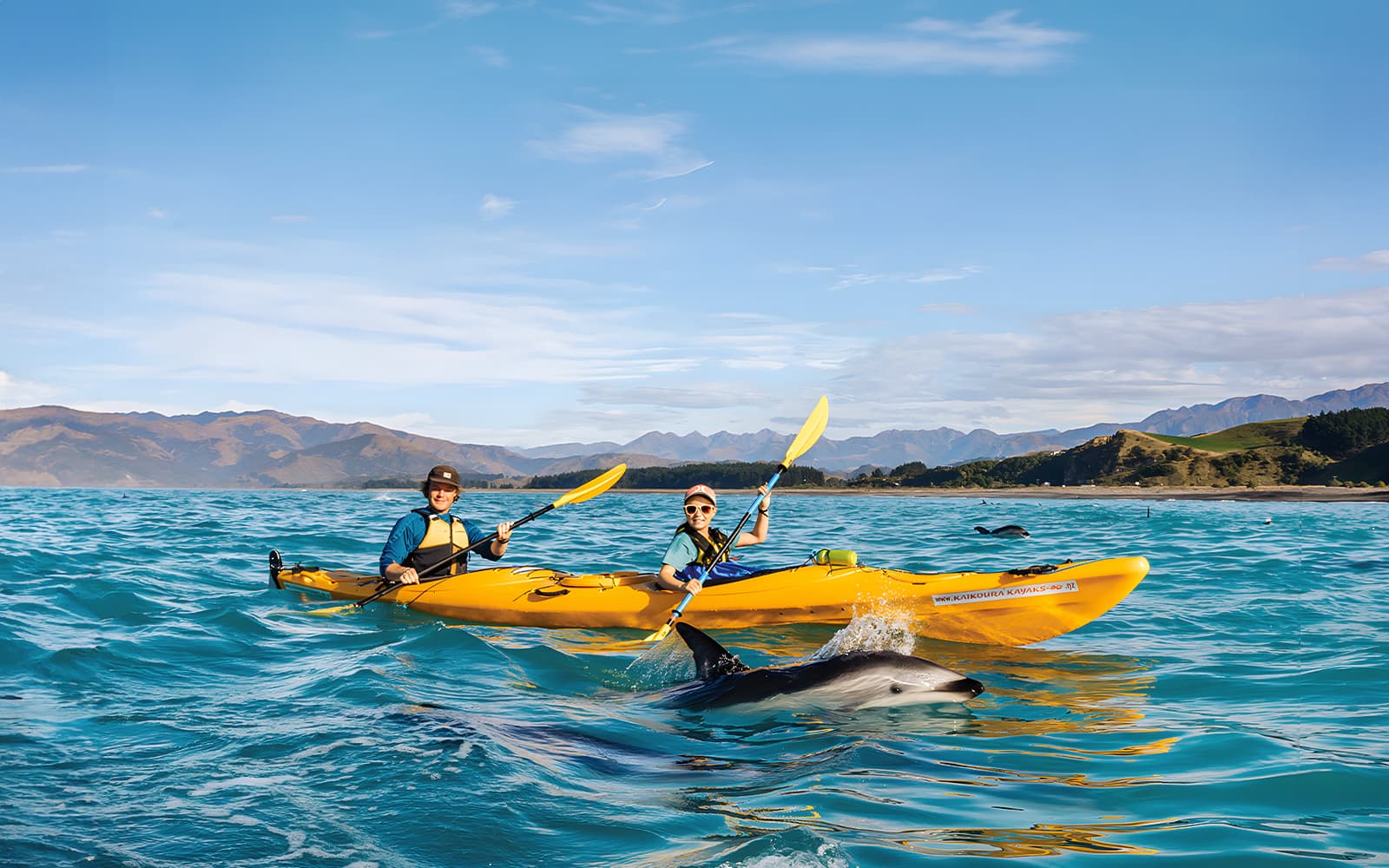 Kaikoura Guided Wildlife Kayaking Experience