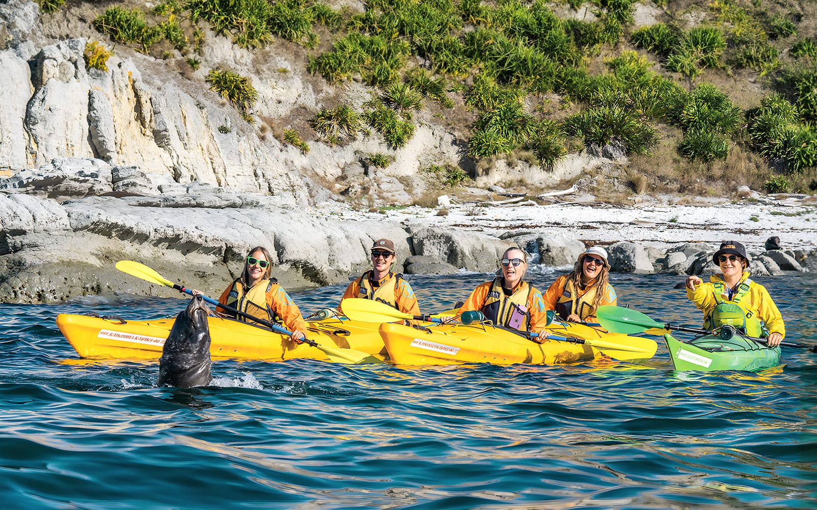Kaikoura Guided Wildlife Kayaking Experience tickets in Kaikoura - Attractions | TickYourList