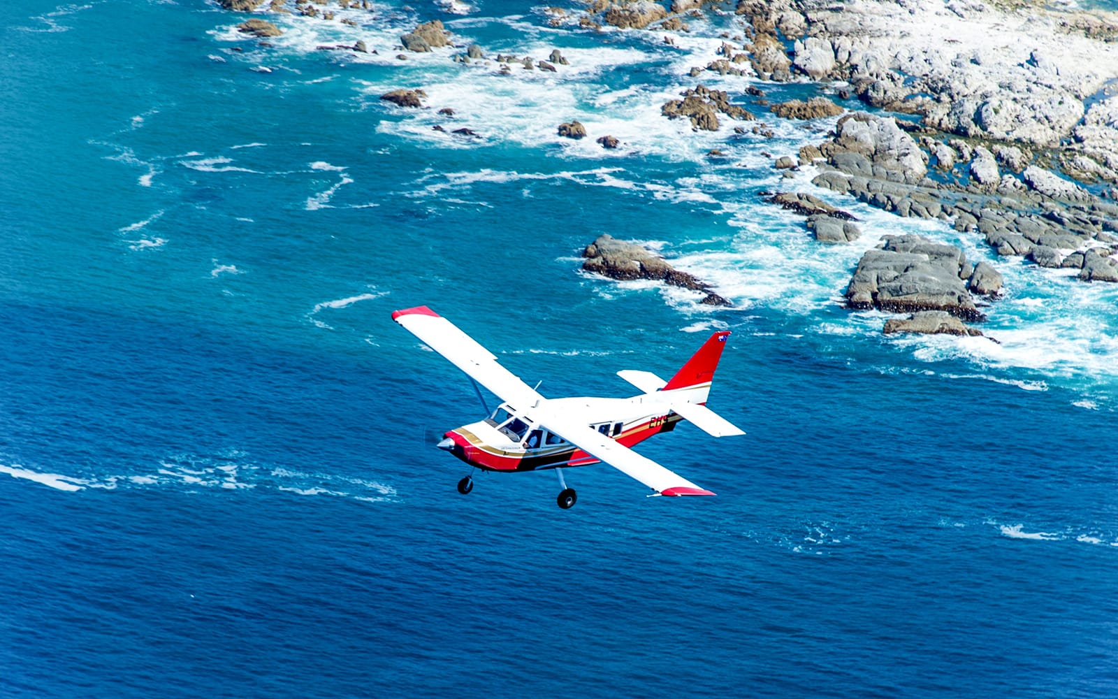 Kaikoura 40-Min Whale Watching Flight with Window Seat