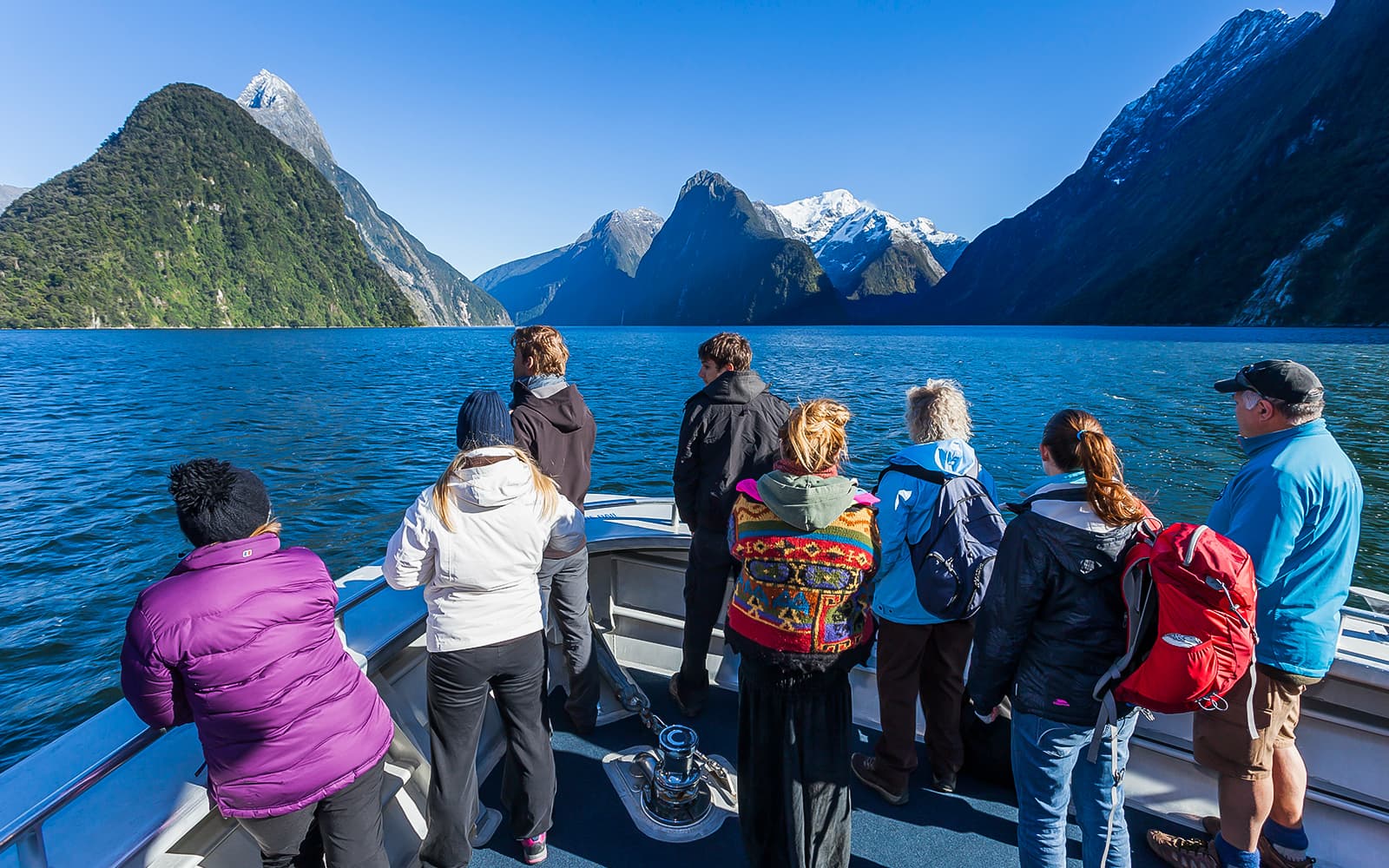 From Queenstown: Milford Sound Scenic Flyover & Cruise tickets in Milford Sound - Highlights | TickYourList