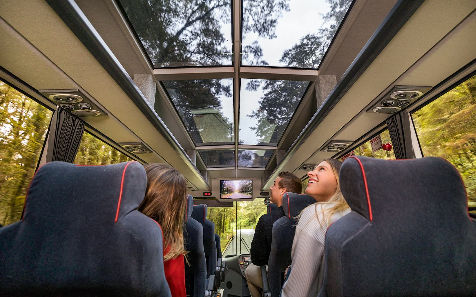 From Te Anau: Milford Sound Day Trip with Cruise, Walks & Return Transfers tickets in Milford Sound - Activities | TickYourList