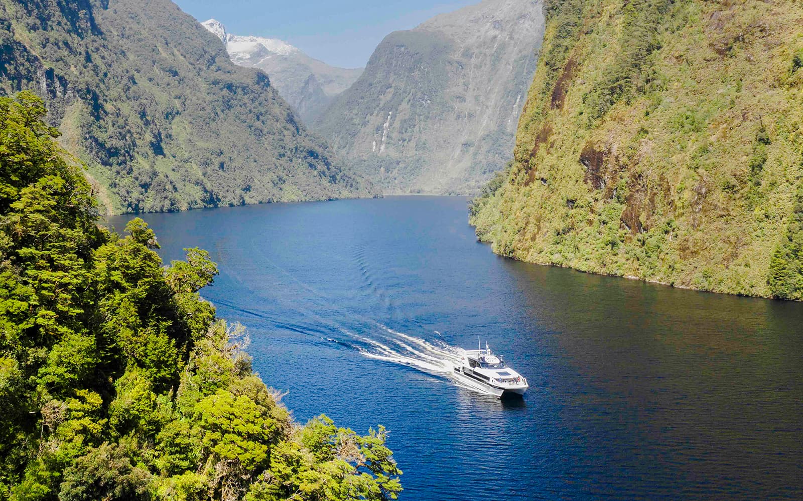 From Manapouri: Doubtful Sound Wilderness Cruise tickets in Te Anau - Attractions | TickYourList