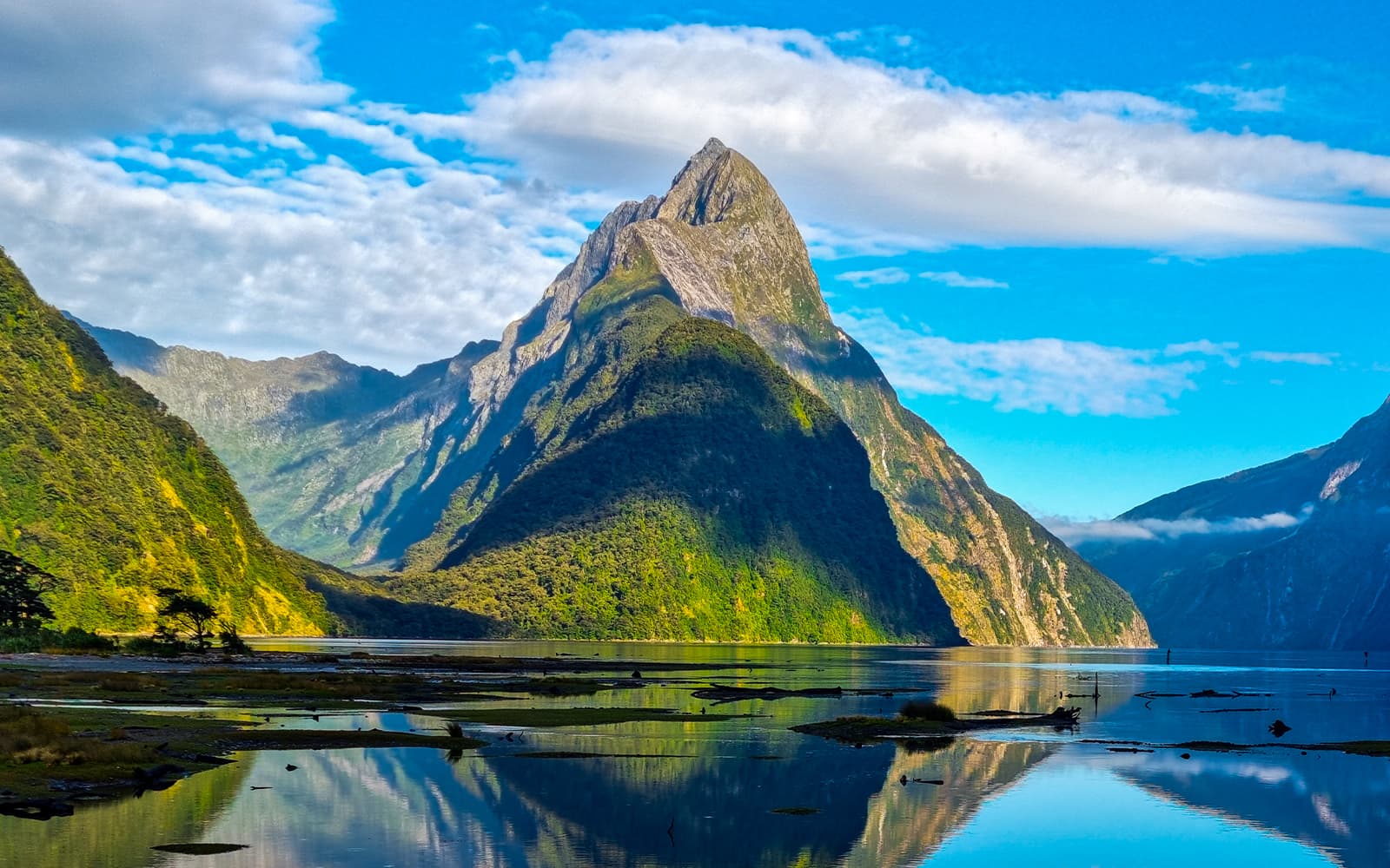 From Queenstown: Milford Sound Premium Small Group Tour with Cruise & Lunch tickets in Milford Sound - Activities | TickYourList