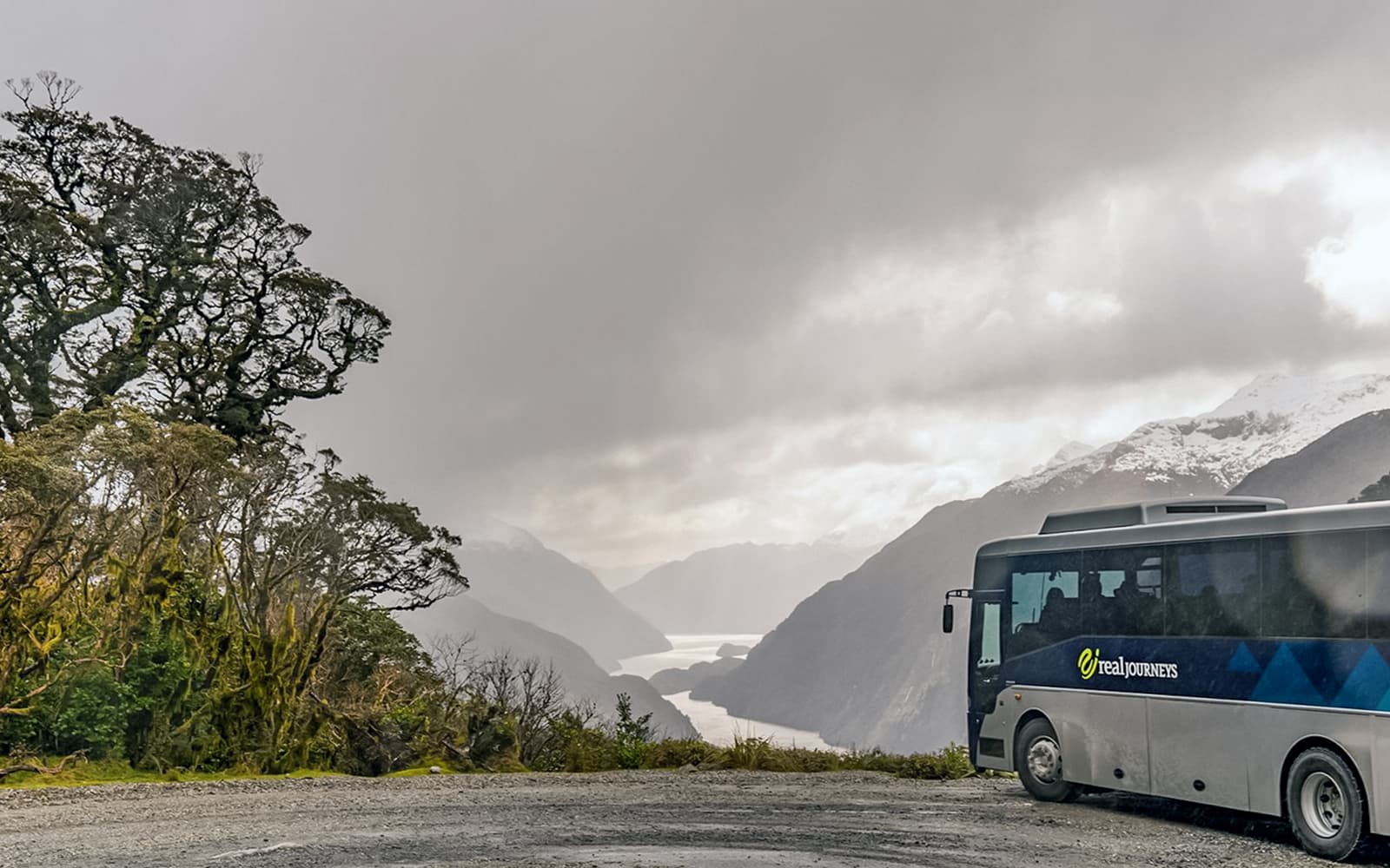 From Te Anau: Doubtful Sound Overnight Cruise tickets in Te Anau - Features | TickYourList