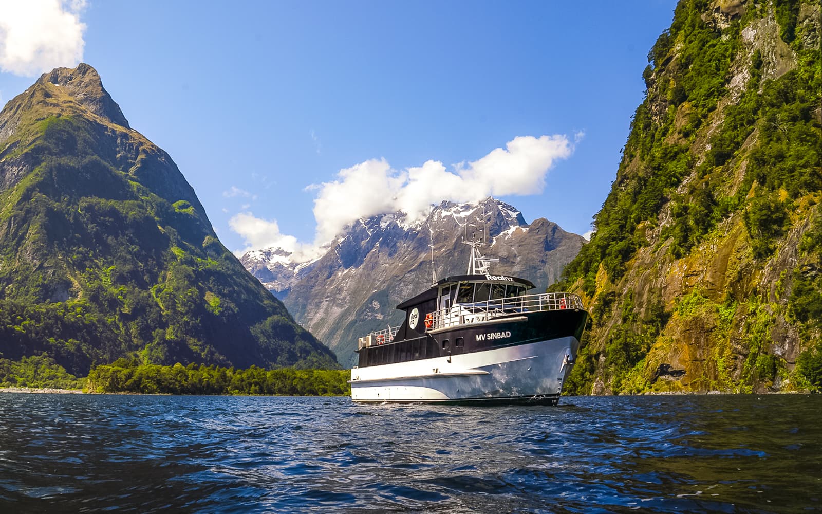 From Queenstown: Business Class Milford Sound Tour with Premium Cruise & Gourmet Lunch