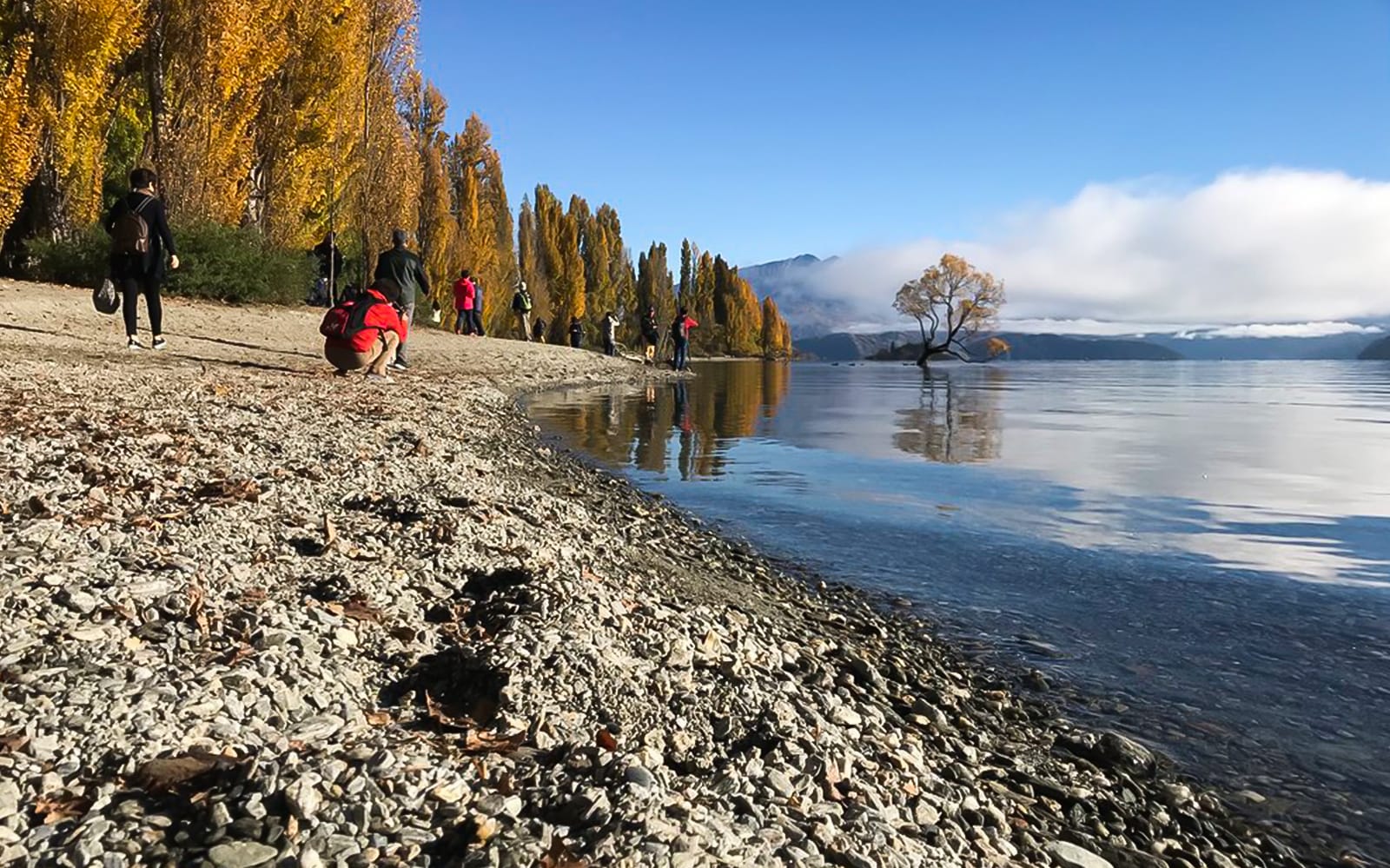 Wonders of Wānaka Tour tickets in Queenstown - Highlights | TickYourList