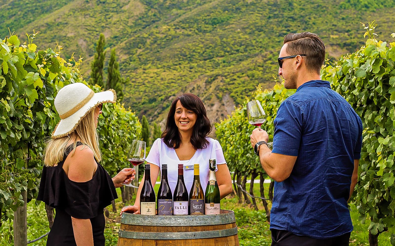 Classic Wine Tour from Queenstown tickets in Queenstown - Highlights | TickYourList