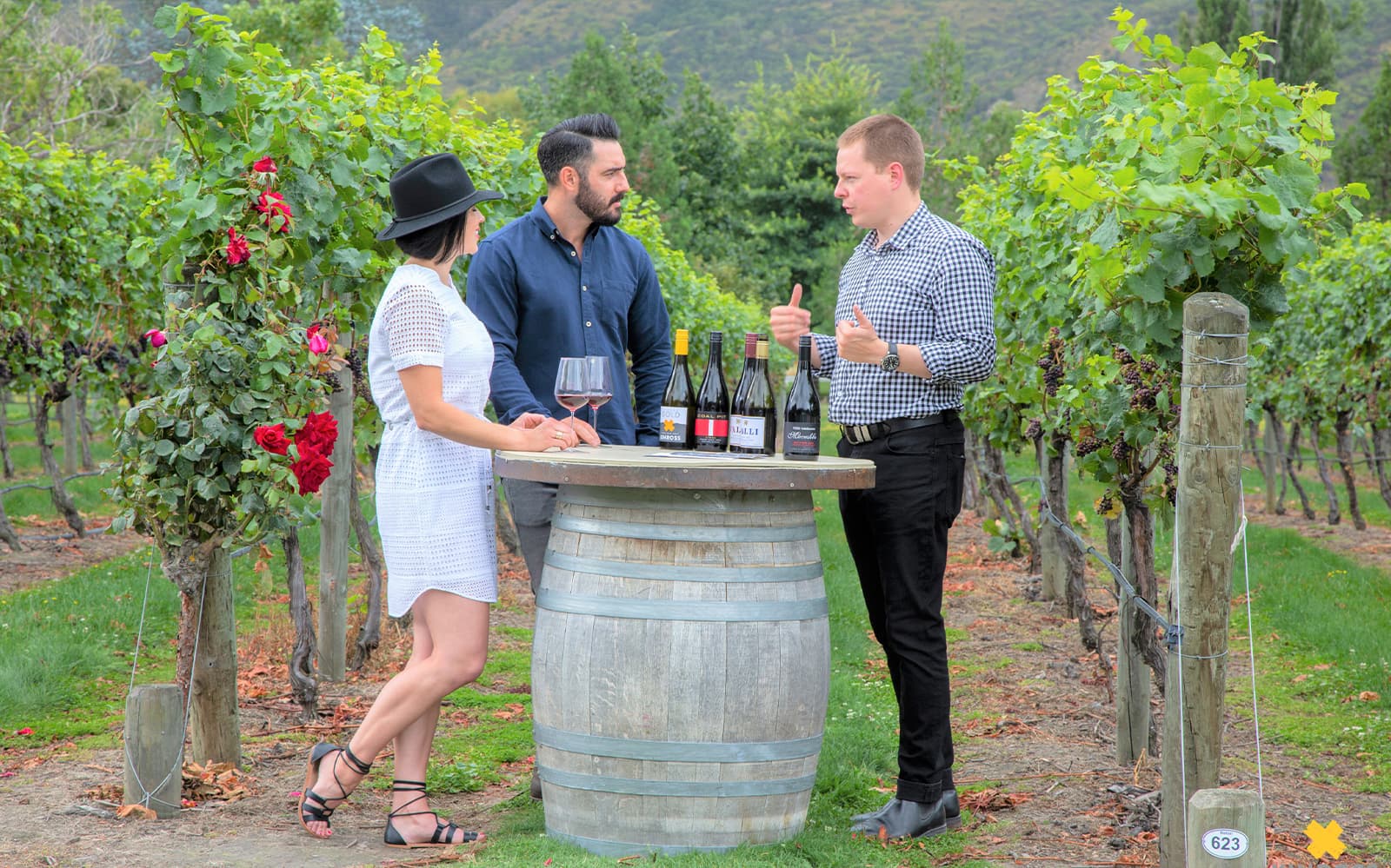 Guided Tour of Queenstown with Wine Tasting