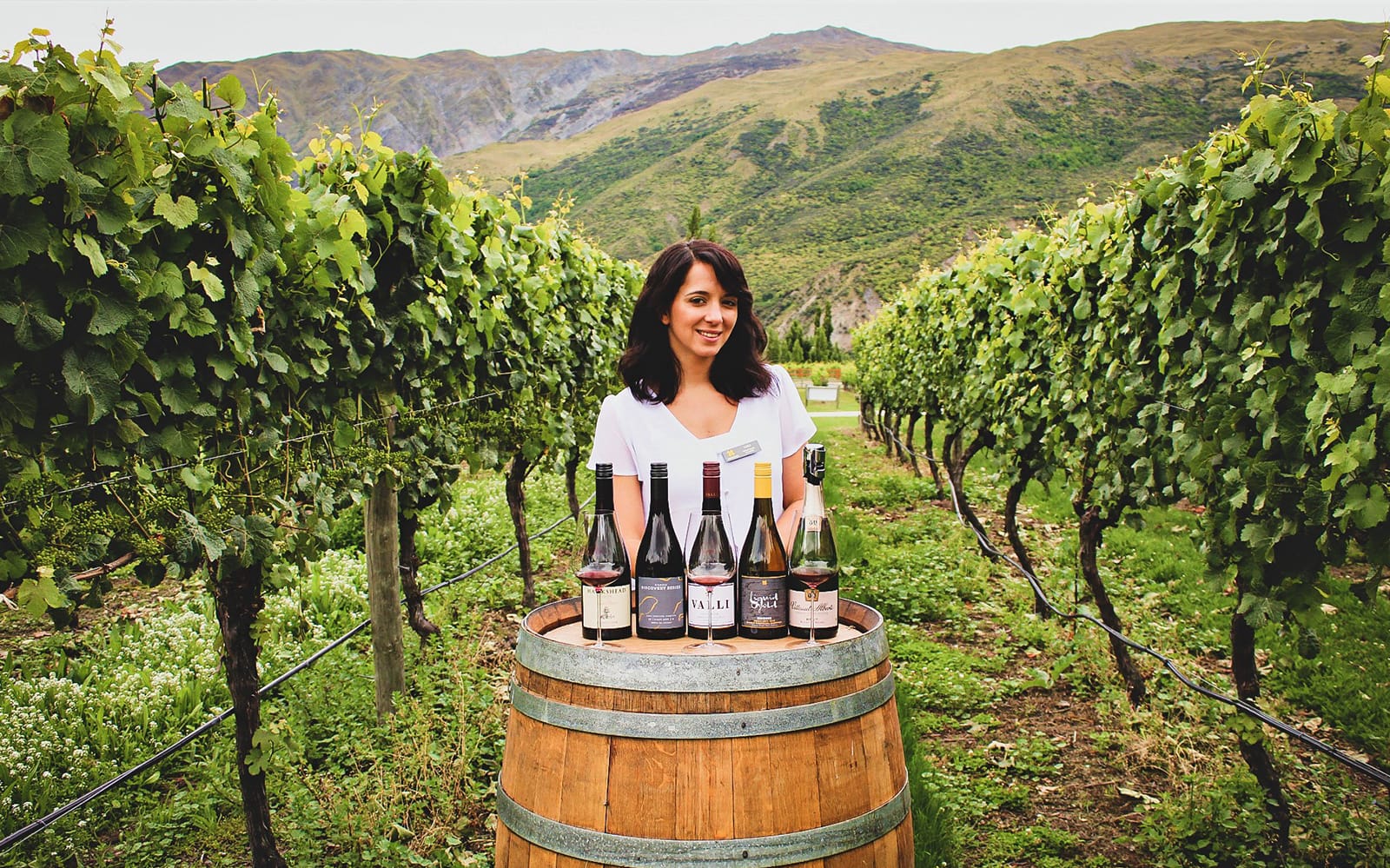 Guided Tour of Queenstown with Wine Tasting tickets in Queenstown - Activities | TickYourList