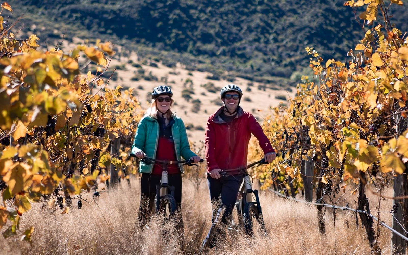 Bike the Wineries Self Guided Tour from Queenstown experience tickets in Queenstown | TickYourList