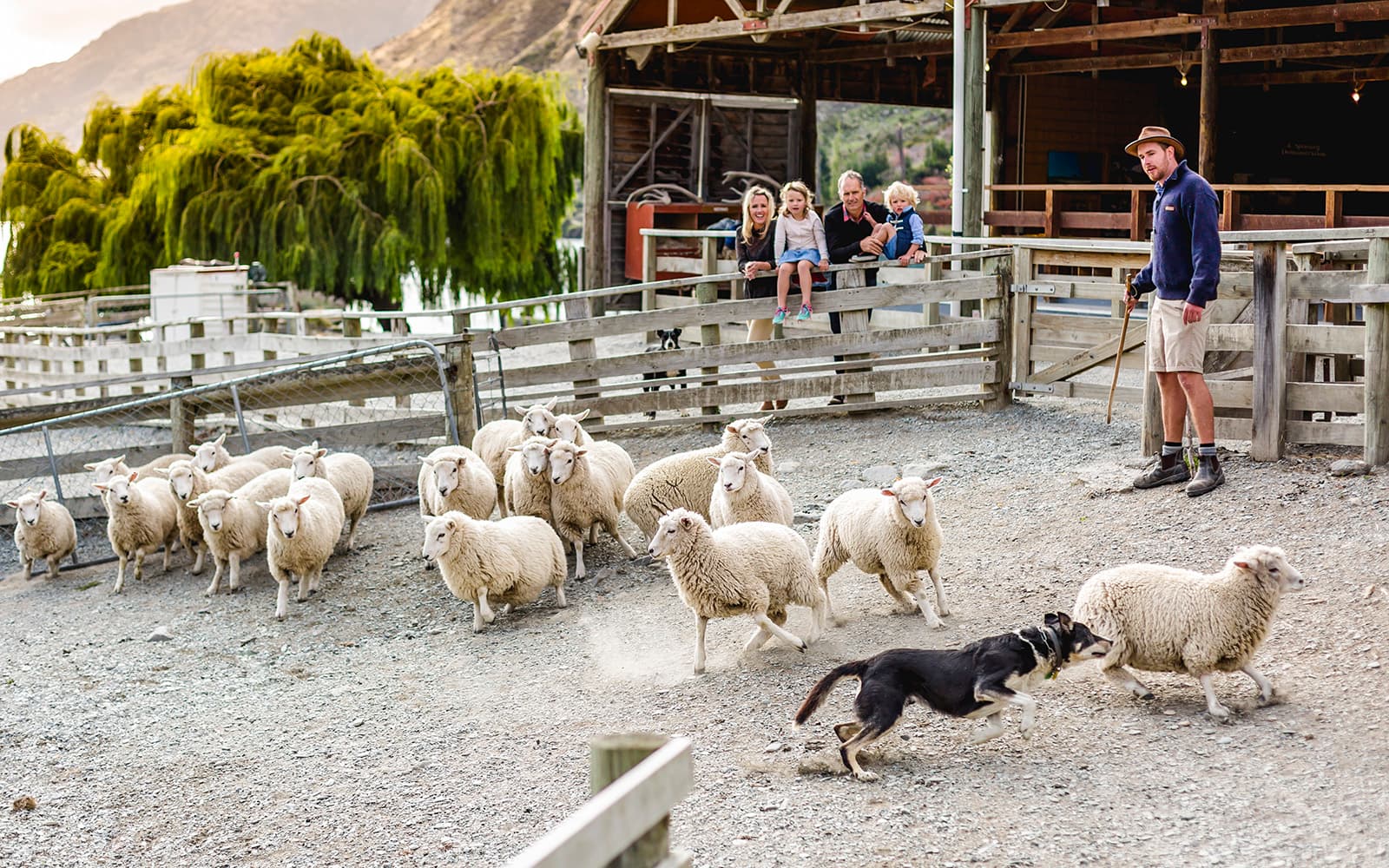 From Queenstown: TSS Earnslaw/Spirit of Queenstown with Walter Peak Farm Tour