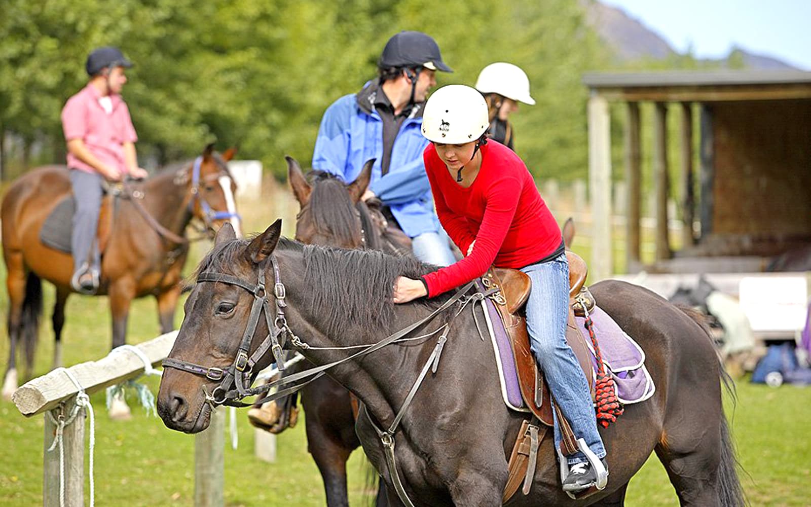 From Queenstown: TSS Earnslaw Cruise with Walter Peak Horse Trekking tickets in Queenstown - Highlights | TickYourList