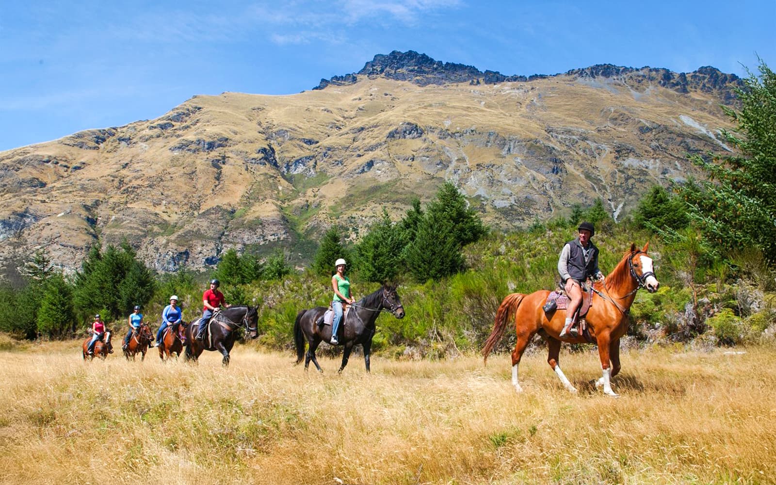 From Queenstown: TSS Earnslaw Cruise with Walter Peak Horse Trekking tickets in Queenstown - Features | TickYourList