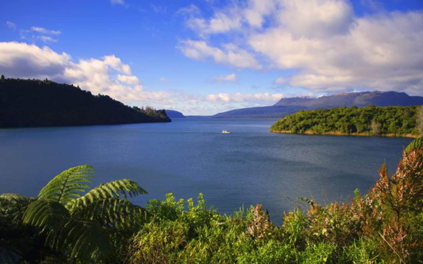 Rotorua City & Lakes Tour tickets in Rotorua - Attractions | TickYourList