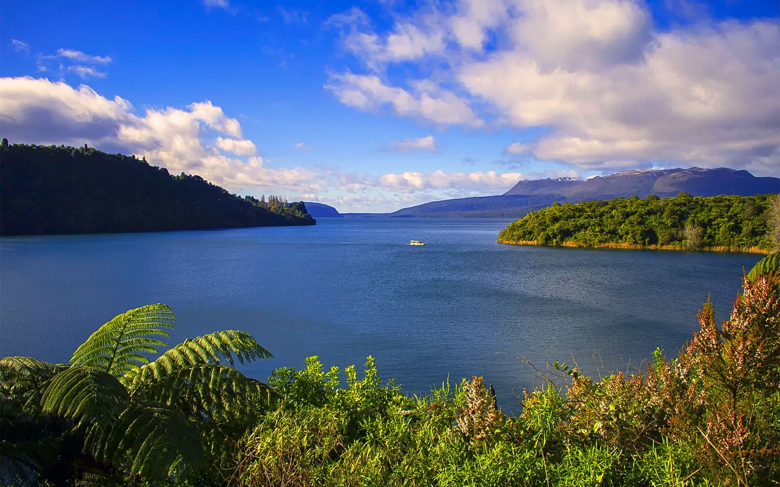 Tarawera & Lakes Eco Tour tickets in Rotorua - Activities | TickYourList