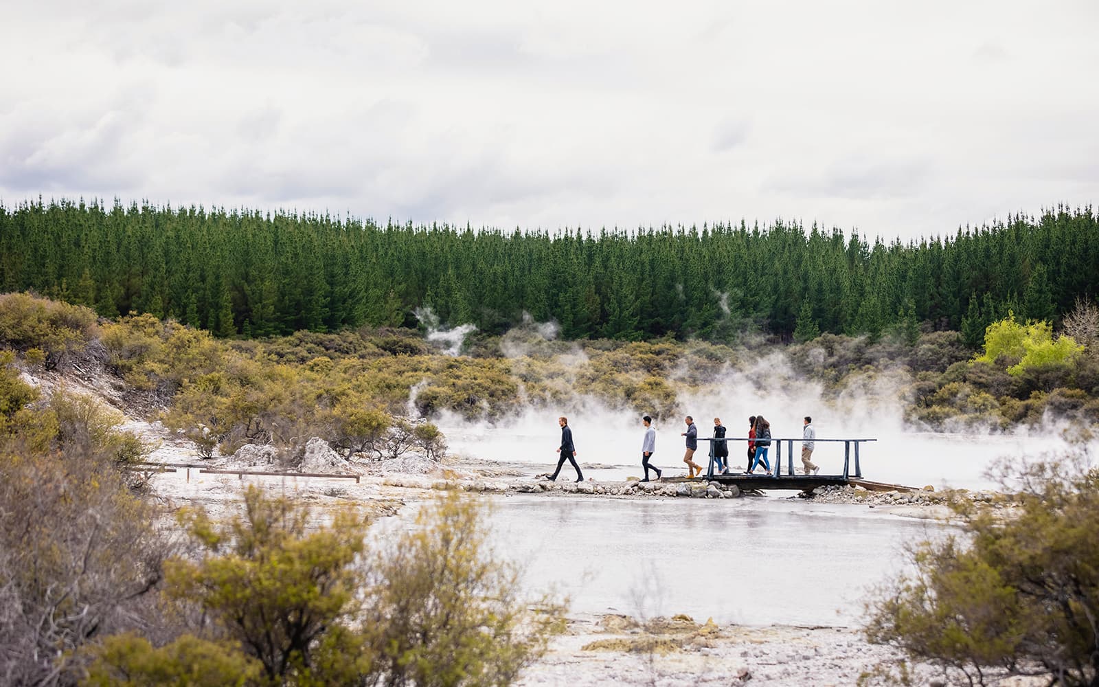 Hell's Gate Geothermal Walk tickets in Rotorua - Activities | TickYourList