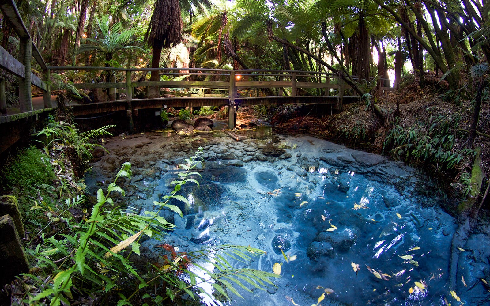 Mitai Maori Village Cultural Experience & Buffet Dinner tickets in Rotorua - Highlights | TickYourList