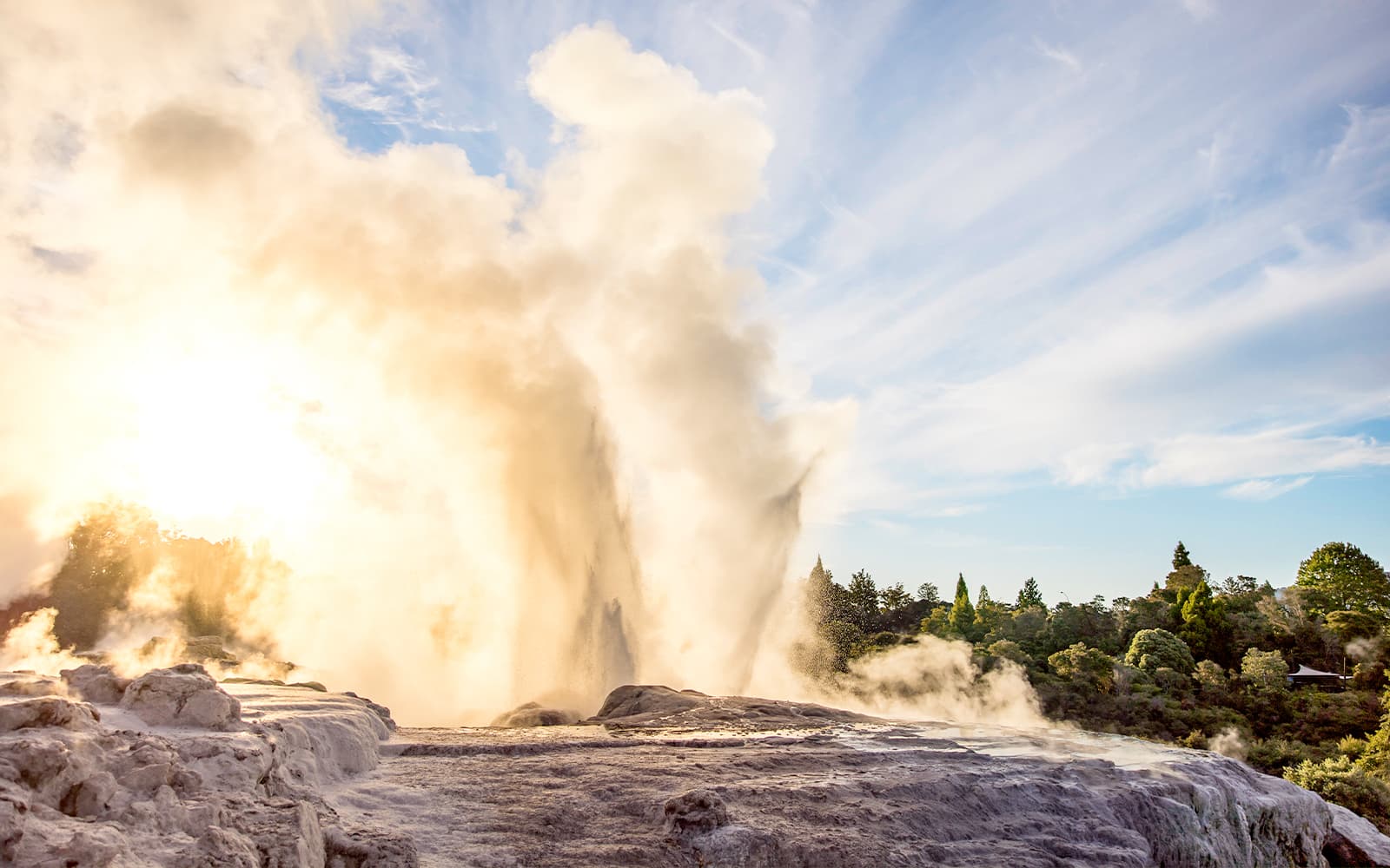 Te Puia: Te Rā Guided Experience + Haka Combo tickets in Rotorua - Attractions | TickYourList