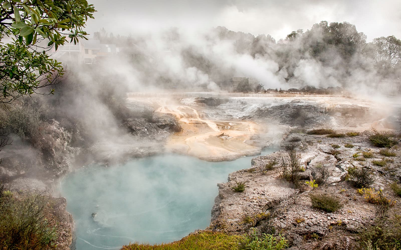Whakarewarewa Living Maori Village Guided Tour tickets in Rotorua - Activities | TickYourList