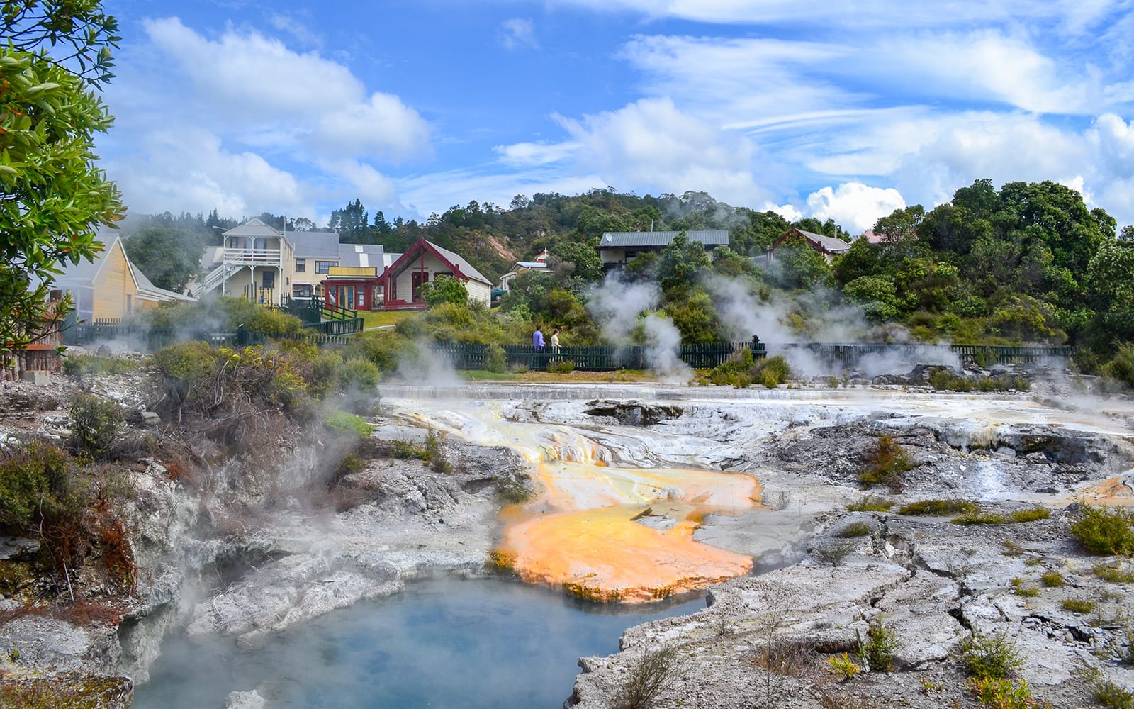 Whakarewarewa Living Maori Village Guided Tour tickets in Rotorua - Highlights | TickYourList