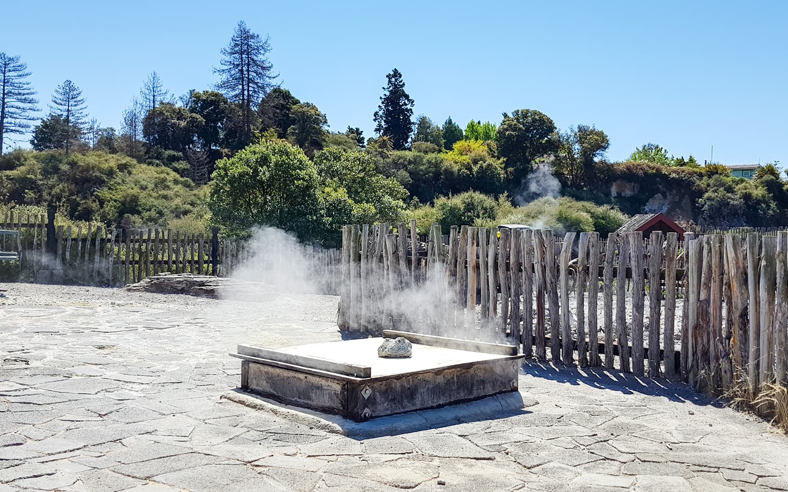 Whakarewarewa Living Maori Village Guided Tour tickets in Rotorua - Features | TickYourList