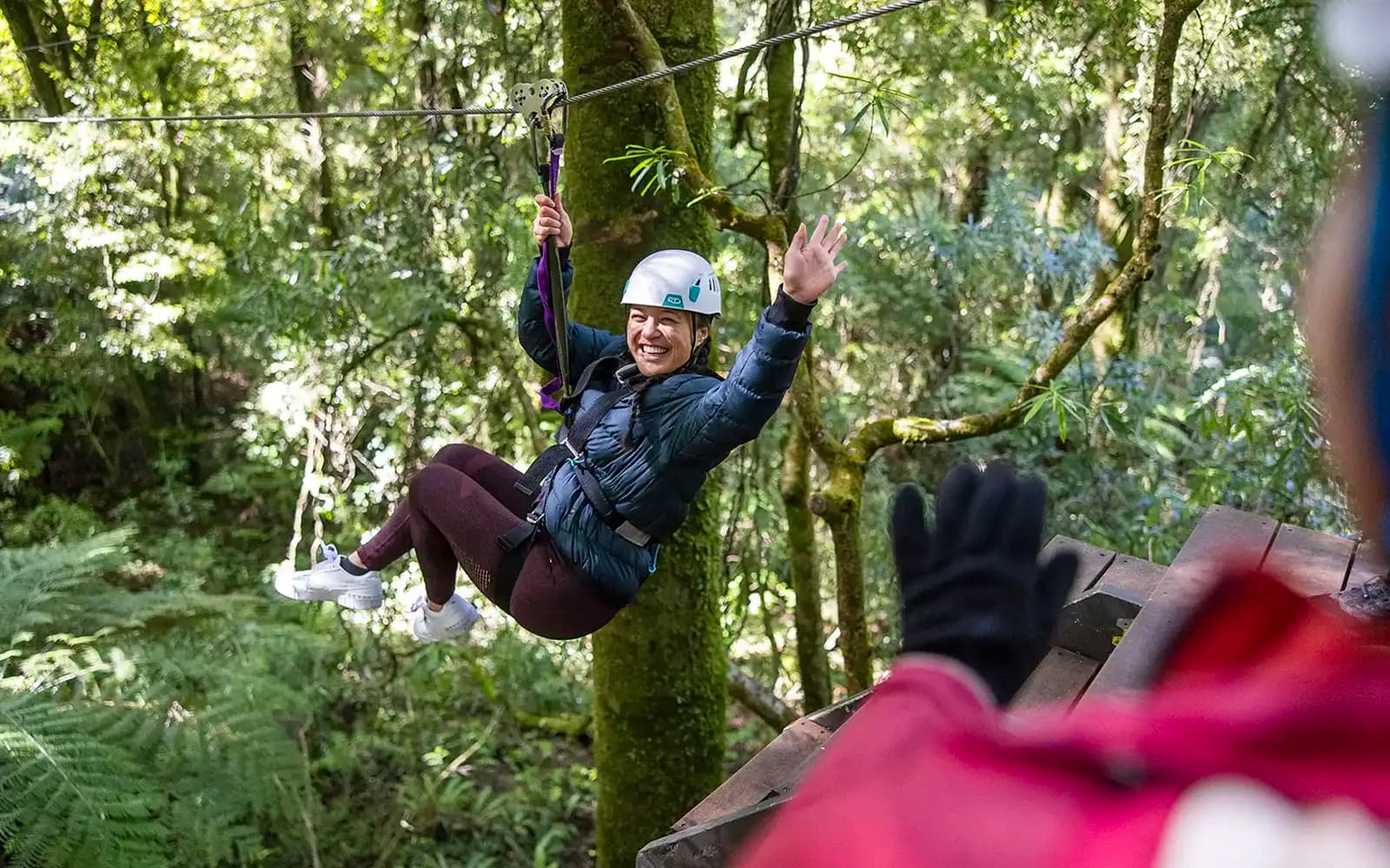 Rotorua Forest Zipline Experience tickets in Rotorua - Activities | TickYourList
