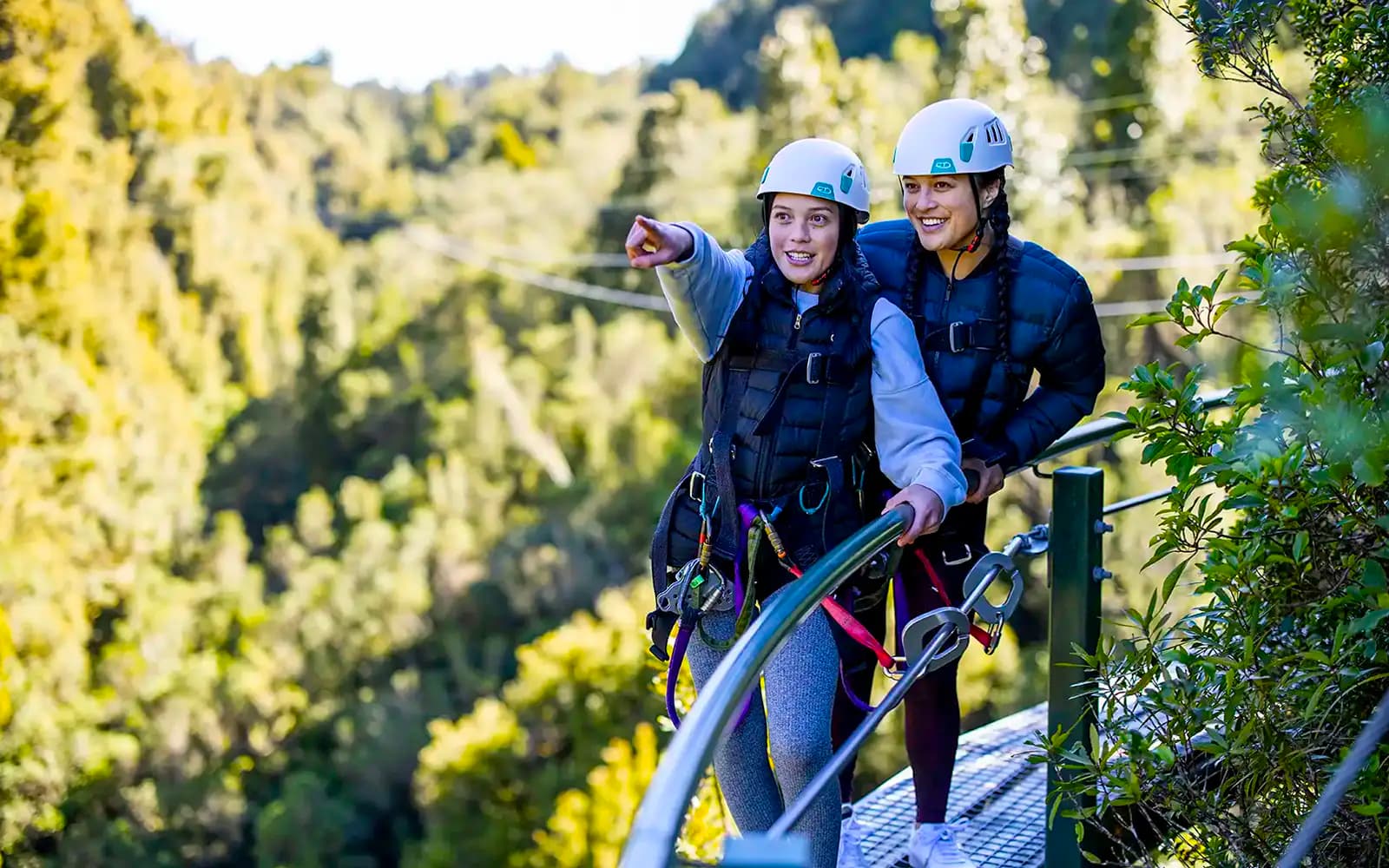 Rotorua Forest Zipline Experience tickets in Rotorua - Features | TickYourList