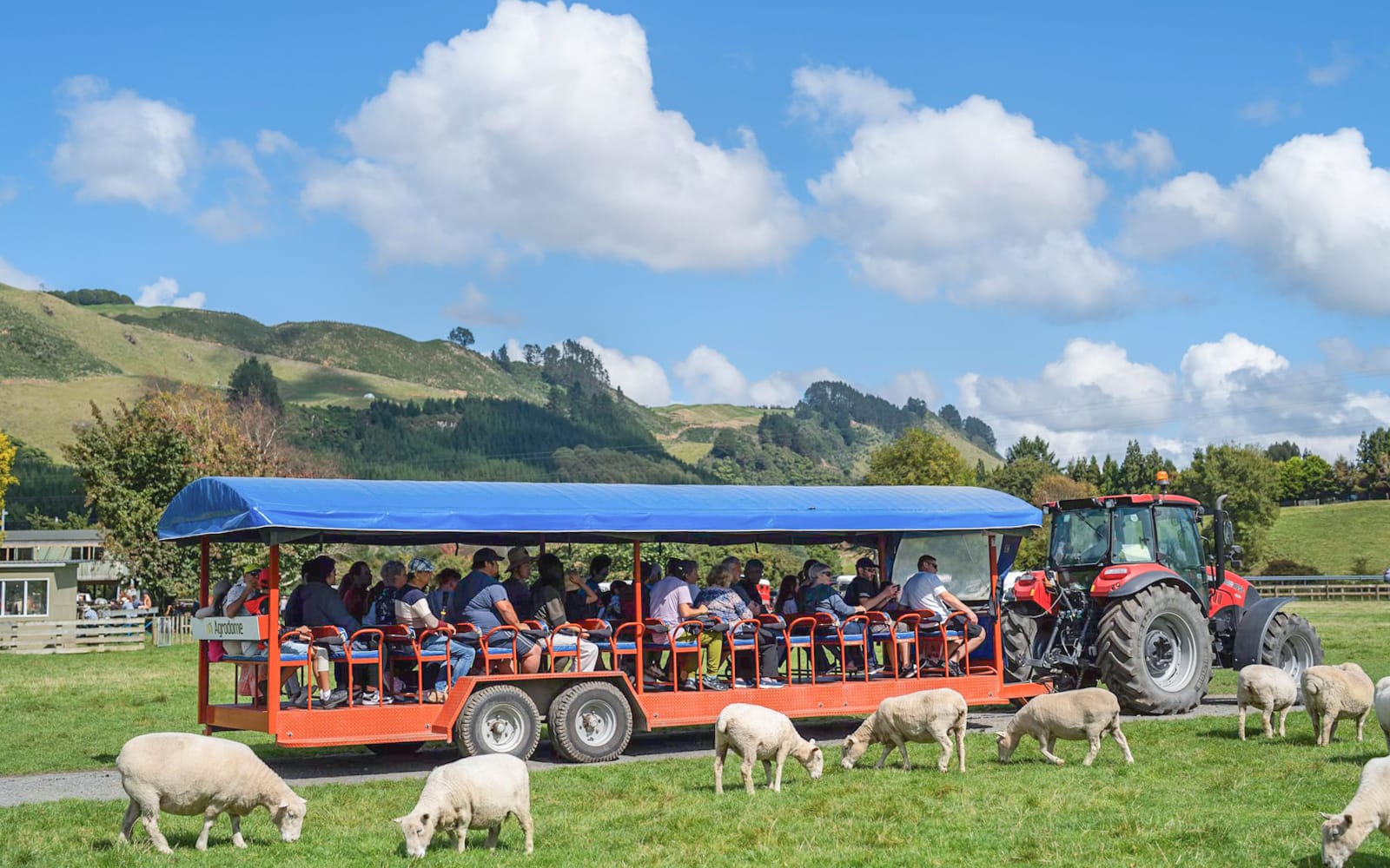 Agrodome Authentic Farm Experience Tickets in Rotorua - Attractions | TickYourList