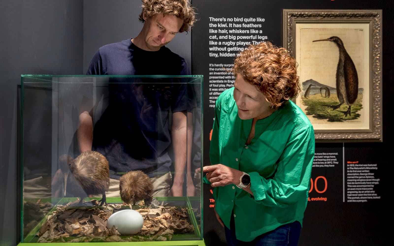 The National Kiwi Hatchery Tour