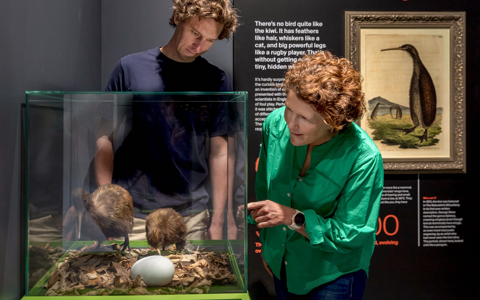 The National Kiwi Hatchery Tour