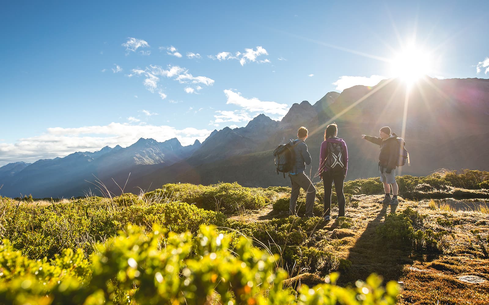 Guided Tour of Routeburn Track at Fiordland National Park