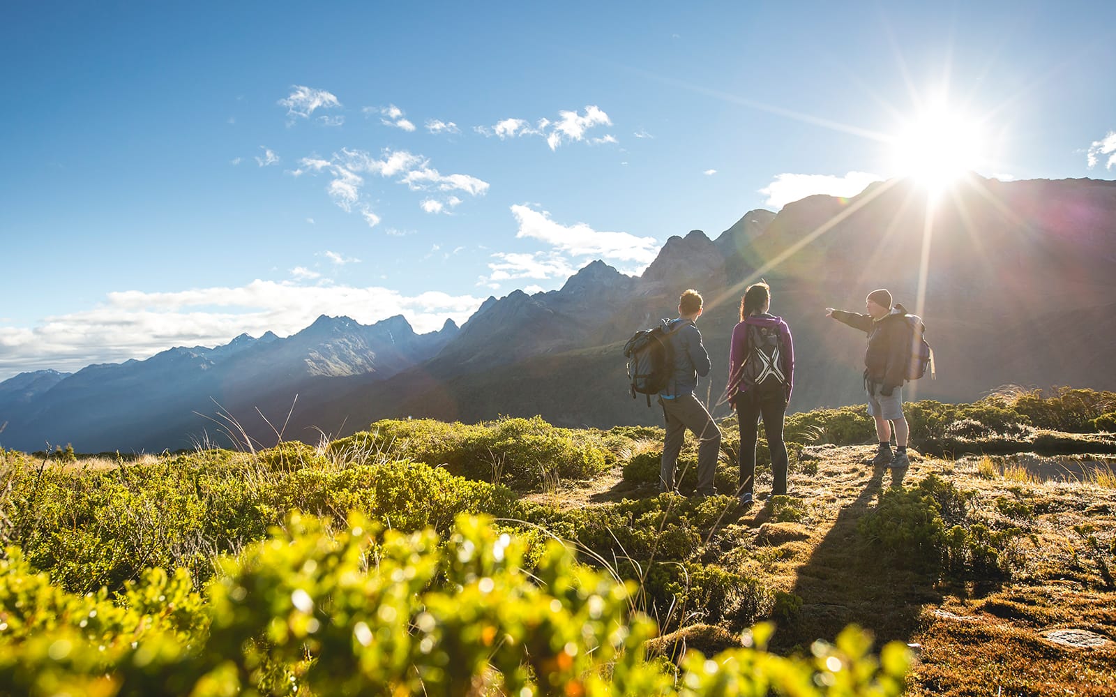 Guided Tour of Routeburn Track at Fiordland National Park experience tickets in Te Anau | TickYourList